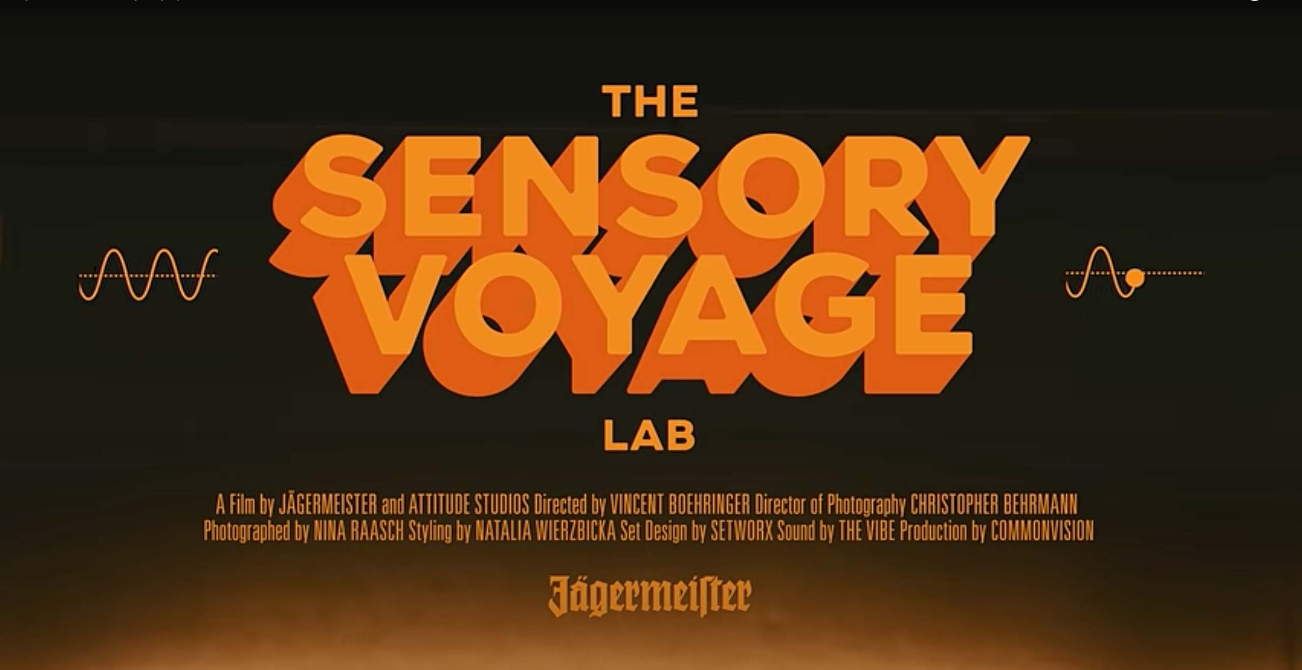 SENSORY VOYAGE