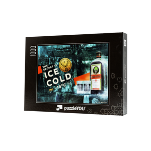 ICE COLD PUZZLE